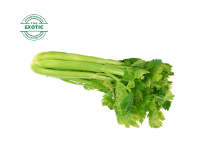 Celery - Exotic